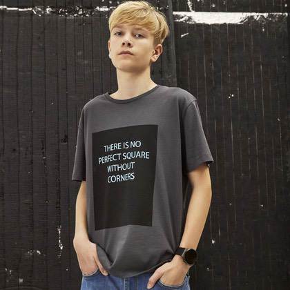 Hound T-shirt - grå/sort/lyseblå (dreng)